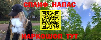 скорость Новозыбков