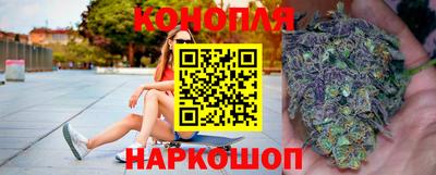 скорость Новозыбков