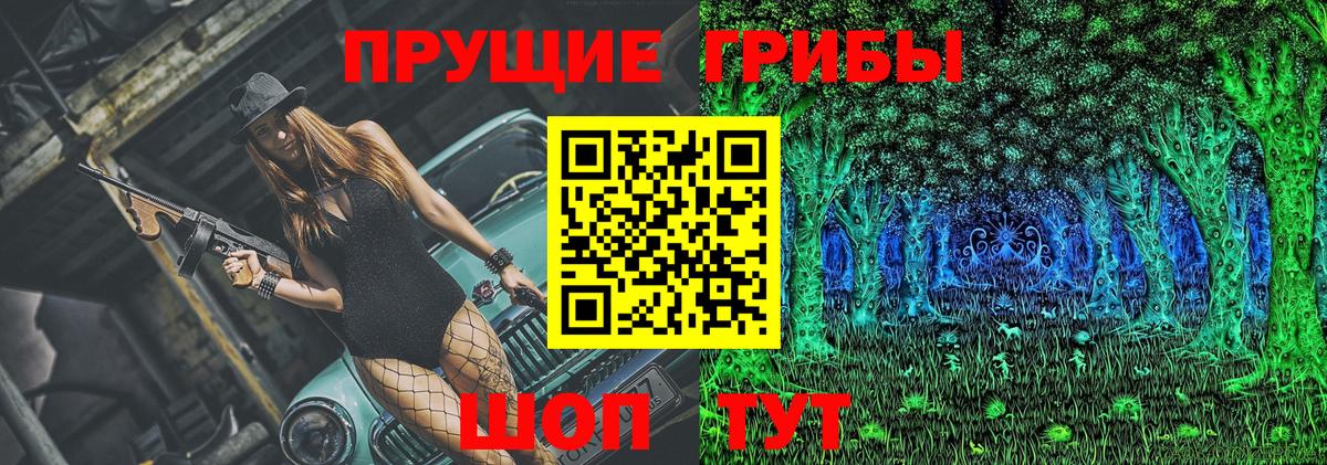 Галлюциногенные грибы Psilocybine cubensis Новотроицк