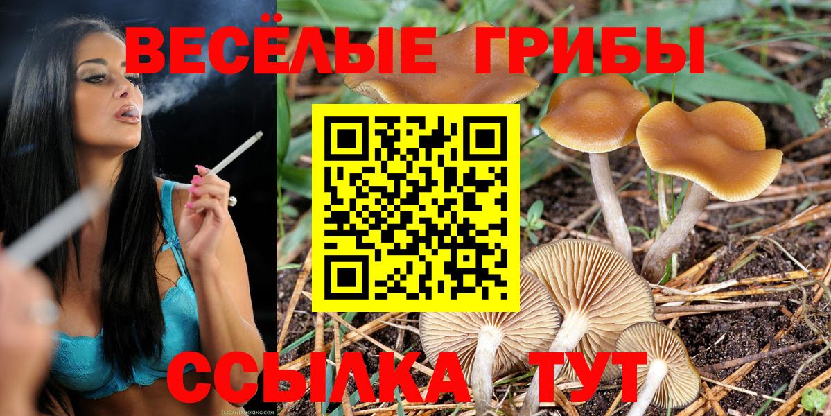 Новотроицк  Псилоцибиновые грибы Psilocybe  Вход с VPN  Галлюциногенные грибы ЛСД 